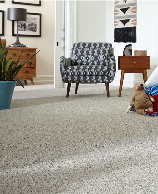 Carpet & Carpeting. StainFree, WearFree, WorryFree Carpeting